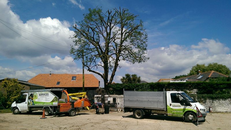 Gallery - JP Tree & Gardening Services