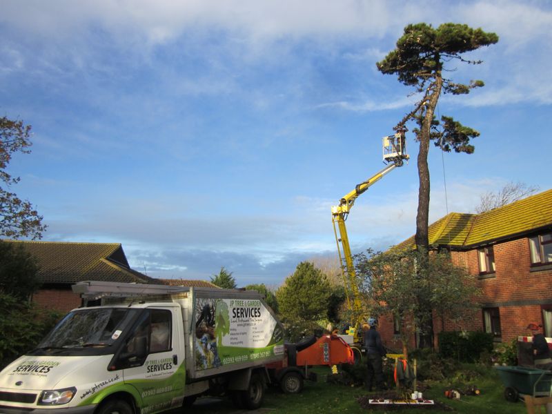 Gallery - JP Tree & Gardening Services