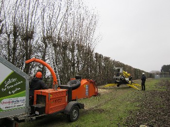 Gallery - JP Tree & Gardening Services