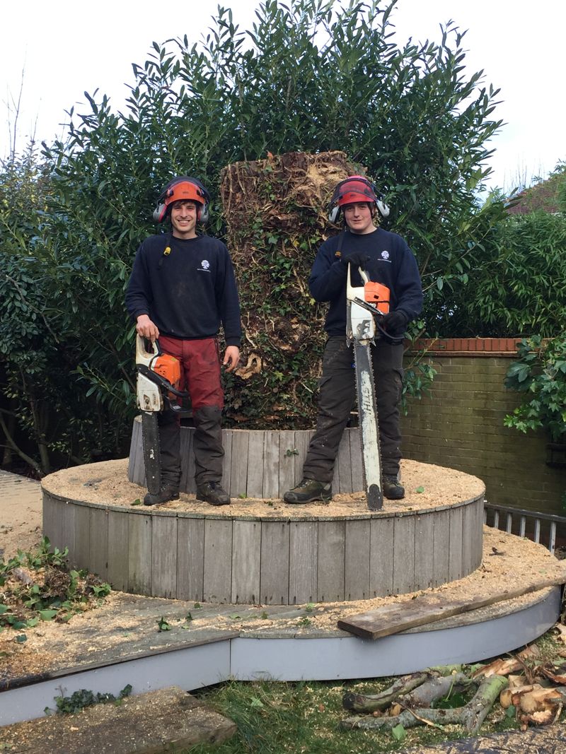 Gallery - JP Tree & Gardening Services